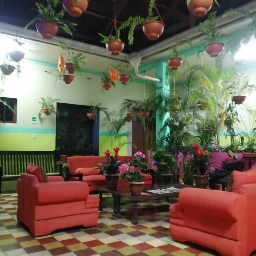 קצאלטננגו Hotel Kasa Kamelot Central מראה חיצוני תמונה