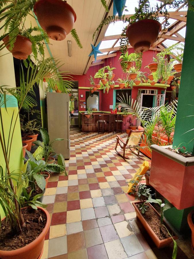 קצאלטננגו Hotel Kasa Kamelot Central מראה חיצוני תמונה