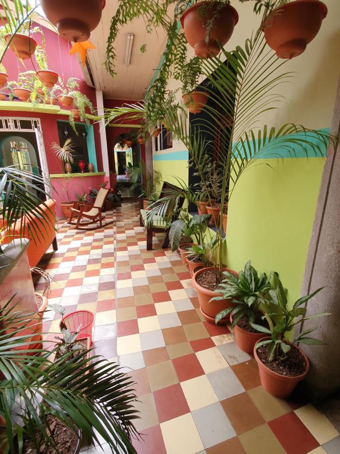 קצאלטננגו Hotel Kasa Kamelot Central מראה חיצוני תמונה